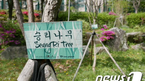 로이킴·박유천 이어 '승리 숲'까지…중국팬들이 '승리나무' 심기도