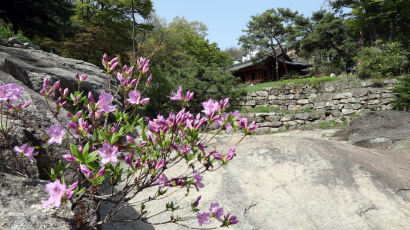  [서소문사진관] 서울의 숨은 정원 문이 열렸다. 의친왕 별궁 '성락원' 개방