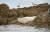 지난 20일 인천시 옹징군 백령도 물범바위. 멸종위기에 놓인 점박이물범(천연기념물 311호) 무리 중에서 흰색 점박이물범 1마리가 발견됐다. [사진 진종구]