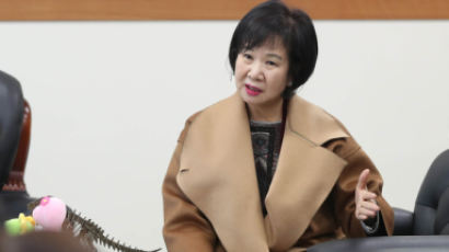 손혜원, ‘목포 부동산 투기의혹 유포’ 제기한 네티즌 28명 경찰에 고소