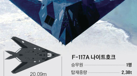 [단독] 퇴역 스텔스 F-117A 복귀, F-35가 못하는 북 지하타격용?