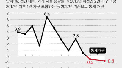 [마이너스 성장 쇼크] ‘소주성’ 중간 고리 '소비'도 꺾였다