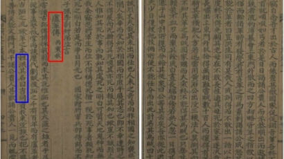 400년 전 한문으로 쓴 홍길동 일대기 ‘노혁전’ 발견