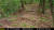 강원도자연환경연구공원이 설치한 무인센서카메라에 찍힌 멸종위기종 2급 삵의 모습. [사진 강원도 자연환경연구공원]