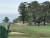 지난 25일 제주도 한라산 중턱에 있는 제주 마방목지에서 천연기념물 제주마들이 쉬고 있다. 최충일 기자