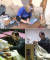 구제시장에서 구매한 옷을 자신의 몸에 맞게 직접 리폼하는 개그우먼 박나래(상)와 소파 천갈이를 위해 커버를 제작하는 배우 김정태(하). [사진 MBC 나혼자 산다, KBS2 살림하는 남자들]