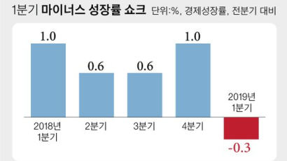 경제위기도 아닌데 -0.3% 역성장 쇼크