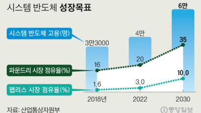 한국, 시스템반도체 강국 간다 "2030년 파운드리 세계 1위" 