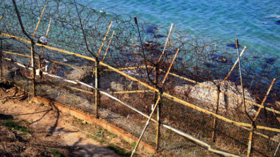 동해안 철책선 30×50㎝ 뚫린 상태로 발견돼 한때 비상