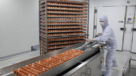 [단독]독감 바이러스 품은 계란…10일 뒤, 2억명을 구했다