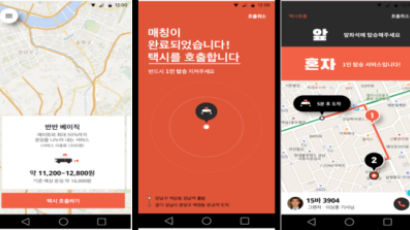 "앱으로 택시 동승 불가"…차량공유에 철벽 친 규제 샌드박스 