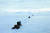 극지연구소 ‘K-루트 사업단’이 독자적인 남극 내륙진출로를 탐사하고 있다. [사진 극지연구소]