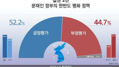 ‘집권 2년’ 文정부 한반도 정책…“강한 긍정 28.5%·강한 부정 29.1%”