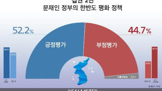 ‘집권 2년’ 文정부 한반도 정책…“강한 긍정 28.5%·강한 부정 29.1%”