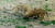 경기도 과천 서울대공원에서 암사자 두마리가 사육사가 던져준 먹이를 차지하기 위해 싸우고 있다. [사진공동취재단]