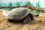 2014년 서울동물원의 최고 어른은 107살 난 갈라파고스코끼리거북이다.남미 에콰도르 갈라파고스제도에 사는 국제적 멸종위기종으로 거북 종류 중 몸집이 가장 크고 오래 산다. 평균 수명은 180~200년이다. 앞으로도 100년은 더 볼 수 있다.[사진제공=서울대공원]