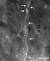 LRO가 확인한 달의 충상단층 중 한 곳. [사진 NASA·고다드우주비행센터·애리조나주립대학·스미소니언] 