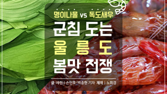 [카드뉴스] 독도새우 vs 명이…군침 도는 울릉도 봄맛 전쟁
