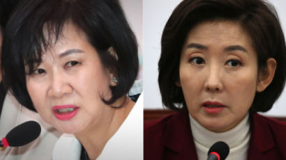 나경원 “독재후예, 한국당 겨냥”…손혜원 “그럼 아닌가?”