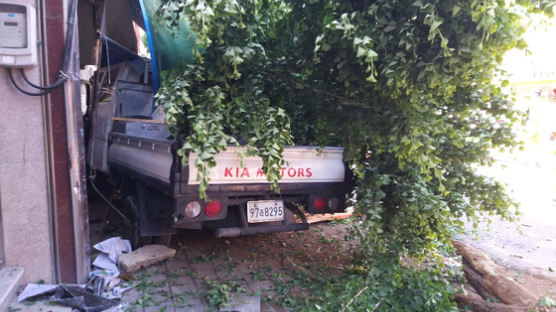 "잠시 어지러웠다"…트럭 운전사, 인도 돌진해 7명 부상