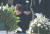 유시민 노무현재단 이사장이 2019년 1월 1일 오후 경남 김해시 봉하마을 노무현 전 대통령 묘역을 참배하고 있다. [연합뉴스]