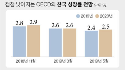 성장률 또 낮췄다…OECD “최저임금 인상 완화를”