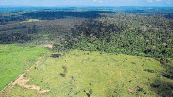 아마존 열대우림 파괴 급속도…5월에만 축구장 7000개 면적 사라졌다