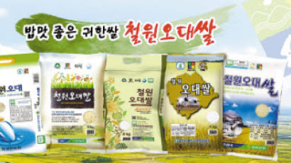 [2019 고객사랑브랜드대상] ‘우수농산물’ 인증받은 명품쌀