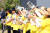 23일 오후 경남 김해 봉하마을에서 노무현 전 대통령 서거 10주기 추모공연 중 자원봉사자들이 나비 날리기 퍼포먼스를 하고 있다. [연합뉴스]