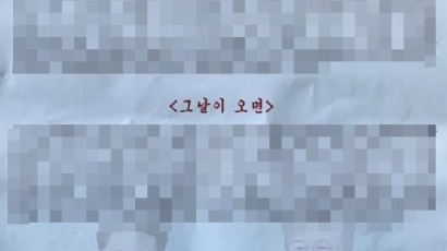 광주서 '남조선 개돼지' 전단…'김정은 대자보' 전대협 작품?