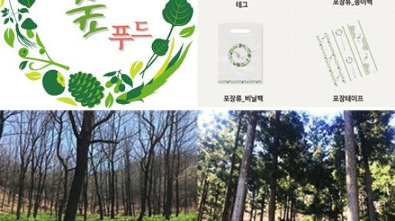 임업진흥원, 청정한 산림먹거리 브랜드 ‘청정숲푸드’ 런칭