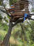 미국 캘리포니아주 포모나 가네샤힐스에 강도 용의자가 나무 위에 지은 집. [사진 포모나 경찰서]