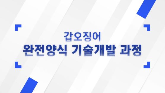 1㎏당 1만원 금(金)징어된 갑오징어, 이젠 키워서 먹는 길 열렸다