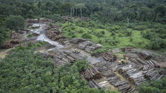 [강찬수의 에코파일] 미·중 무역전쟁이 아마존 열대우림을 파괴한다