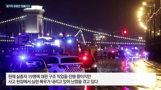 외교부 “헝가리 침몰 유람선에 한국인 33명 탑승…7명 사망·19명 실종”