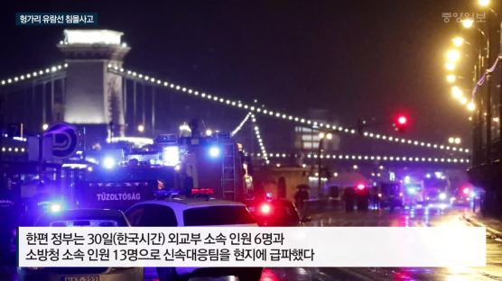 "헝가리 침몰유람선 탑승자 대부분 가족단위…6세 여아 최연소"