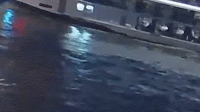 다뉴브 비극···거대한 '바이킹' 덮치자 배는 7초만에 뒤집혔다 [영상]