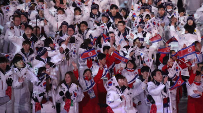 남한과 북한은 하나의 네이션(nation)일까, 두 개의 네이션일까? 