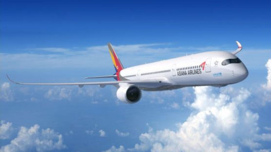 아시아나항공, 국내선 운임 3.1% 인상 "수익성 개선"