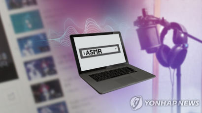 성행위 연상 '19금' ASMR 올린 20대 유튜버 집행유예