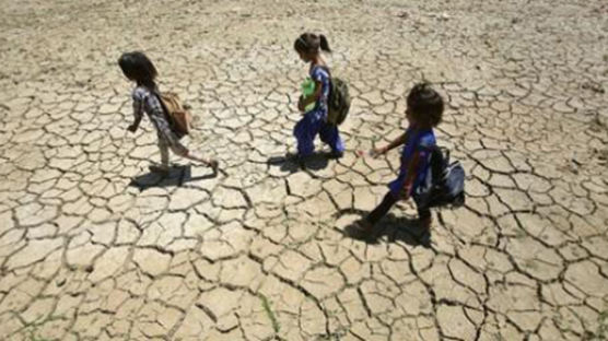 '50.6도' 기록한 인도, 사망자 속출…가뭄에 씻는 것도 포기