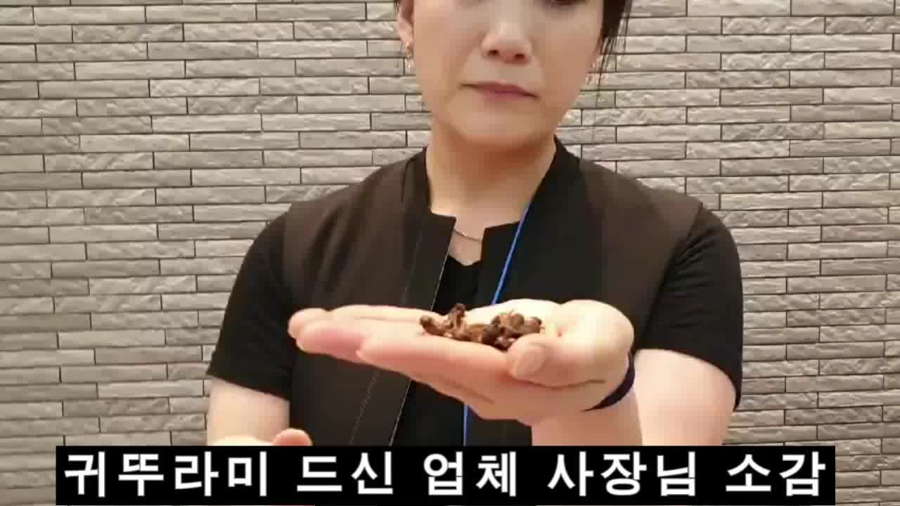 [서소문사진관]설국열차 '단백질 스틱' 현실 되나? 귀뚜라미, 굼벵이 먹어보니