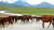 아시아의 스위스라 불리는 키르기스스탄. 고원지대의 말들이 차량에 아랑곳하지 않고 길을 건너고 있다. 뒤로 만년설이 쌓인 톈산산맥이 보인다. [중앙포토]