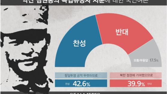 김원봉 독립유공자 서훈, 찬성 42.6%·반대 39.9%…찬성↓