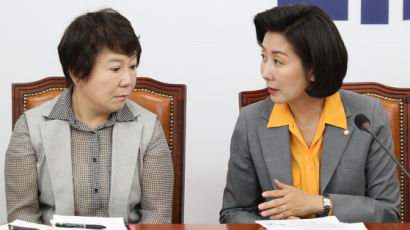 한국당 정미경 "文 감옥에 있는것 보고싶다 하면 막말이냐"
