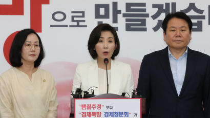 靑·민주당 '경제청문회' 거부···한국당 뺀 단독국회 가시화