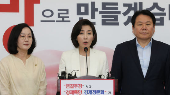 靑·민주당 '경제청문회' 거부···한국당 뺀 단독국회 가시화