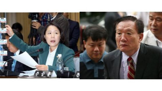 “‘임수경은 종북의 상징’ 발언, 정치인 비판으로 허용돼야”