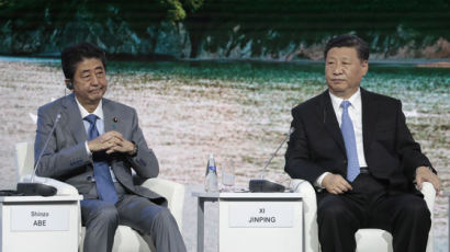 中 외교부, 시진핑 주석 일본 '방문' 대신 G20 '출석' 쓴 이유는