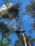 이날 추락한 전투기에서 낙하산을 펴고 비상탈출한 조종사 중 생존한 한 명이 나무 위에 낙하산이 걸린 채 구조를 기다리고 있다. [사진 트위터]
